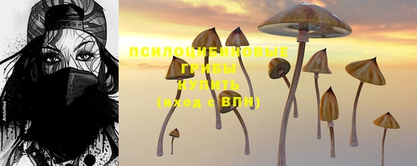 мдпв Заволжье