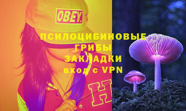 мдпв Заволжье