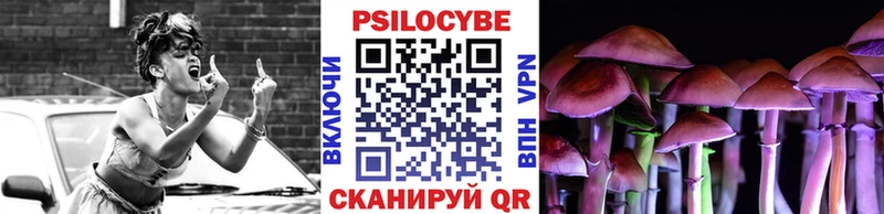 Купить закладки  Киреевск  Псилоцибиновые грибы MAGIC MUSHROOMS 