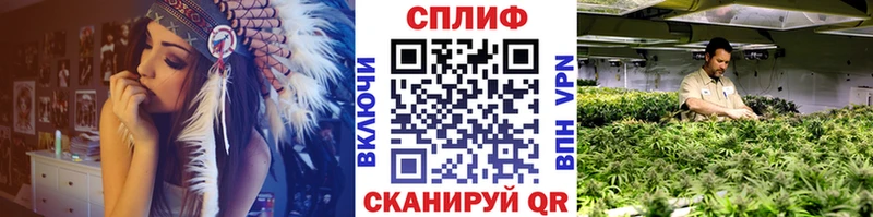 Купить закладки  Киреевск  Канабис гибрид 